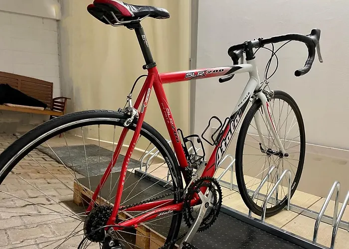 酒店 阿尔维瑞酒店 梅斯特雷