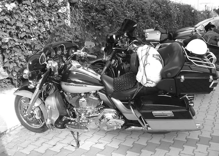 酒店 阿尔维瑞酒店